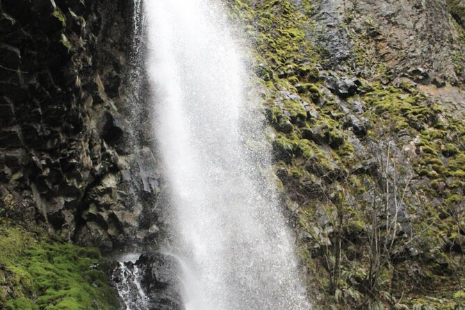 Waterfalls & Waterfront E-Bike Tour on Car-Free Bike Path