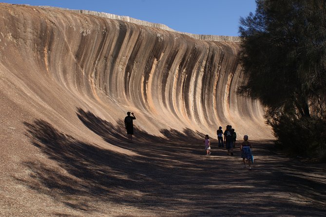 Wave Rock, Pinnacles and Rottnest One Day Aeroplane Tour - Tour Overview