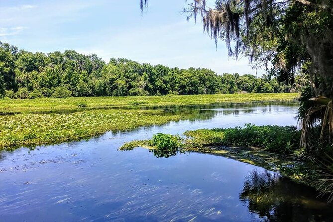 20 Best Canoe And Kayak Experiences In Florida