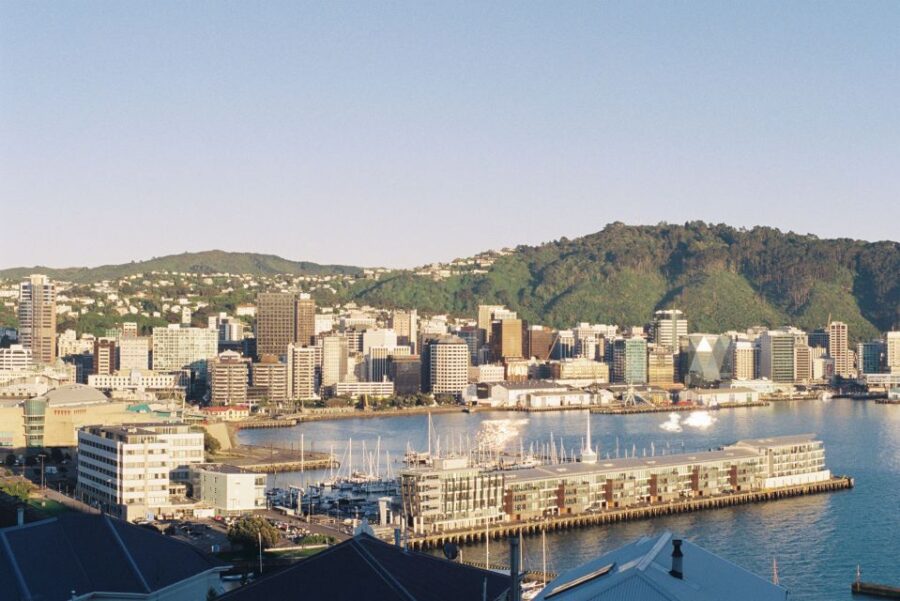 Wellington: 9-Minute Scenic Flight Ride