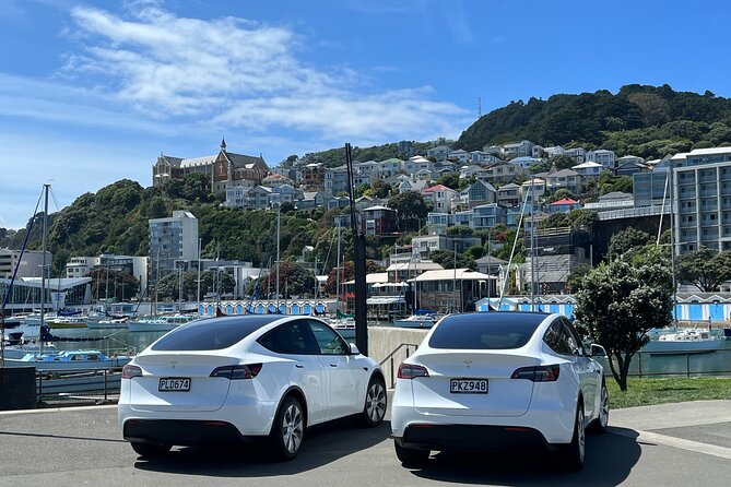 Wellington Half Day Private Tour in Electric Tesla SUV - Tour Overview