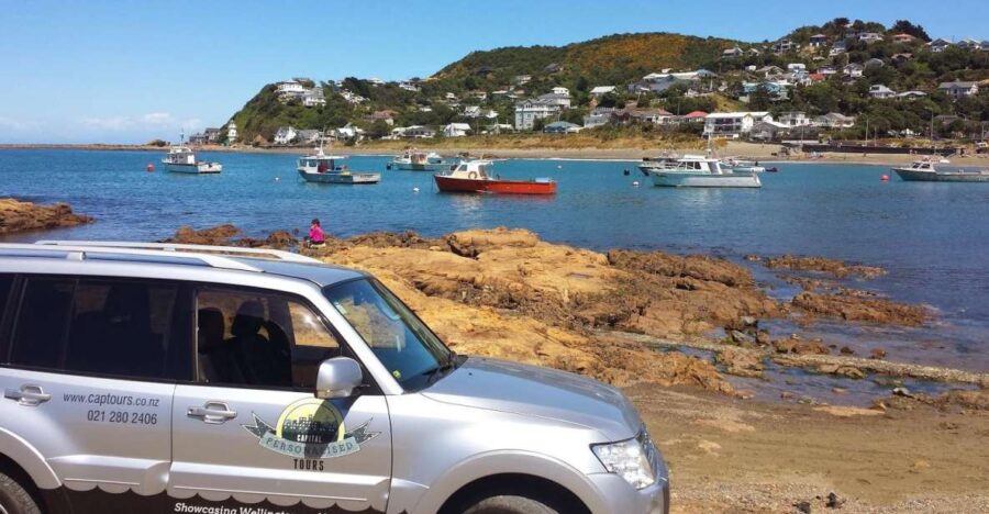 Wellington: Private Day Tour With Lunch - Tour Overview and Pricing