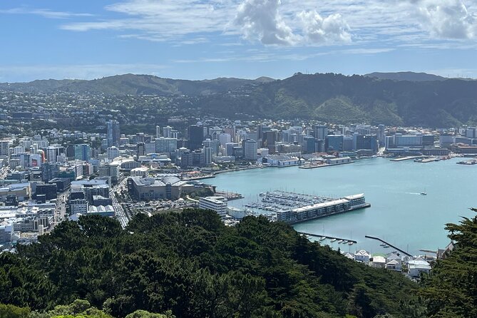 Wellington Private Tandem Tesla Tour