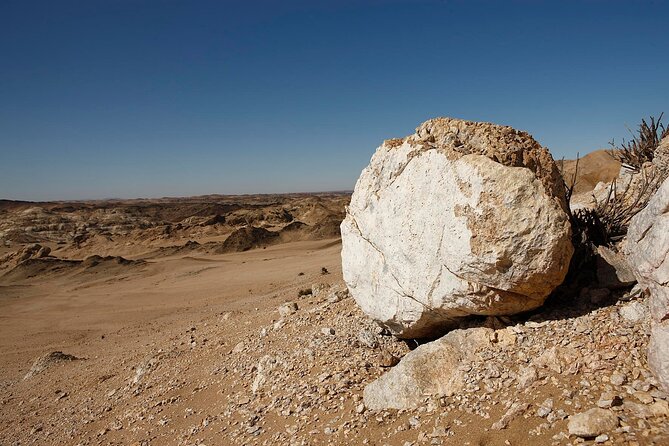 Welwitschia Tour From Swakopmund