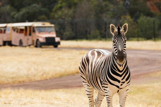 Werribee Open Range Zoo General Admission Ticket