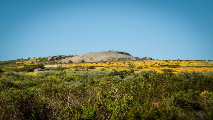 West Coast National Park. Private Tour. - Tour Details