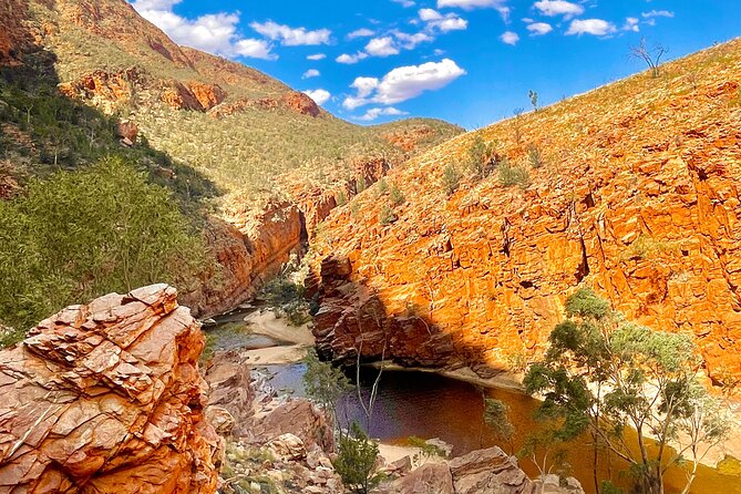 West Macdonnell Ranges & Standley Chasm Day Trip From Alice Springs - Inclusions and Exclusions