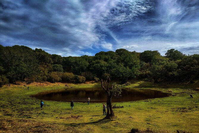 West Madeira Island Guided Tour & Fanal Mystic Forest - Itinerary Highlights