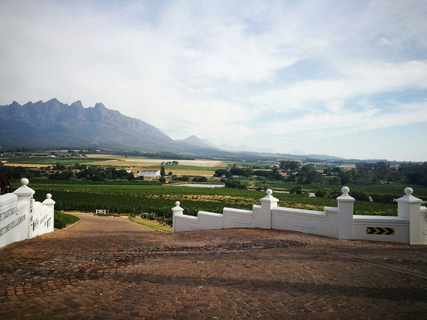 6 Best Tours In Western Cape
