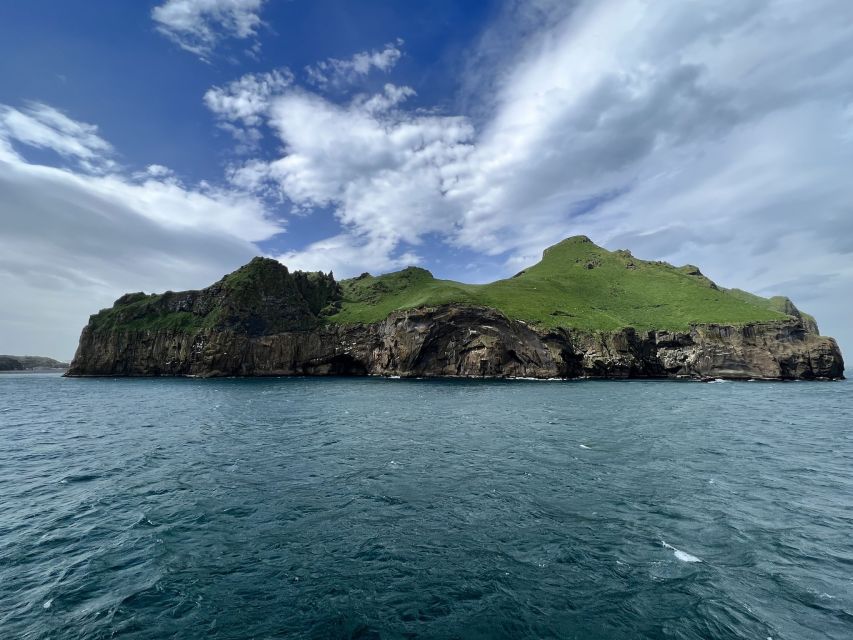 Westman Islands Private Tour