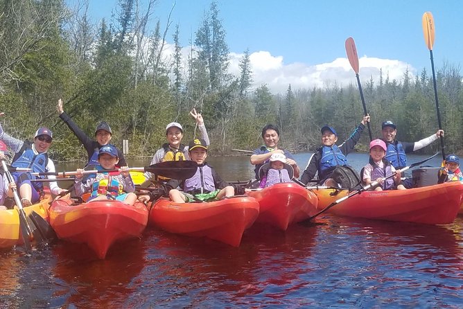 Wetlands Kayak Tour