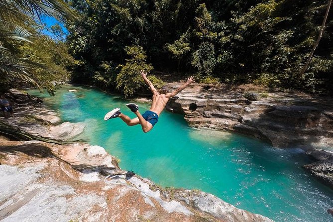 Whale Shark Watching & Tumalog Falls & Kawasan Falls