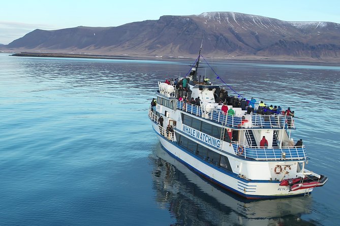 Whale-Watching Boat Tour With Expert Guide From Reykjavik