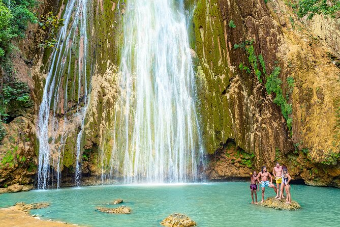 Whale Watching & Limón Waterfall Day Trip - Tour Overview