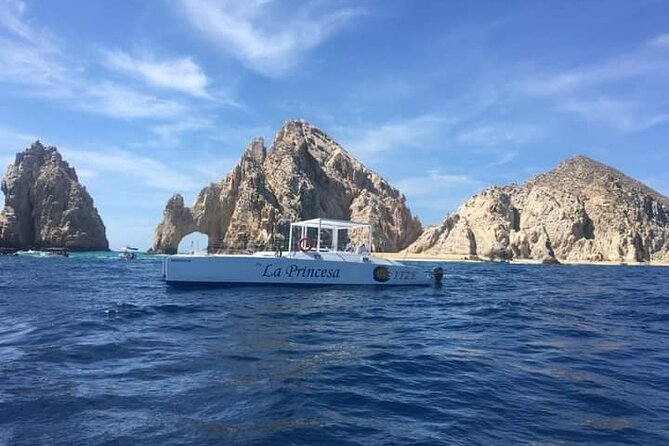 Whale Watching Tour in Los Cabos