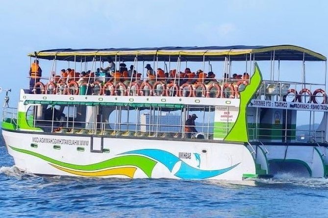 11 Best Whale Watching Experiences In Galle