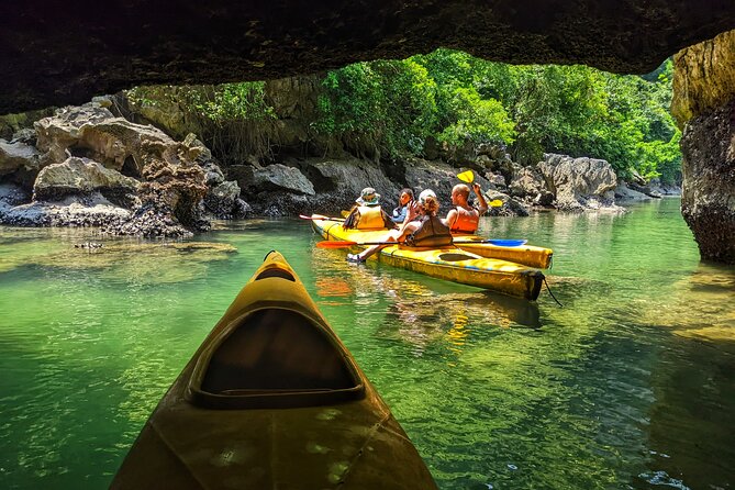 What a Great Combination, Day Cruise and Night Kayak With Glowing Biolumenescent