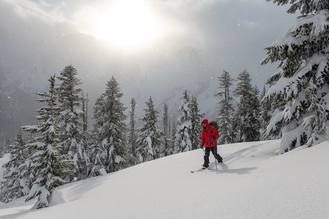 Whistler Backcountry Skiing and Splitboarding - Overview of Whistler Backcountry