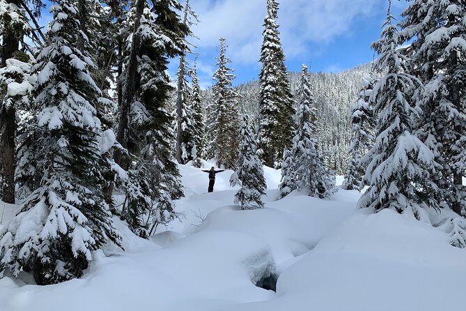 Whistler Lost Lake Snowshoeing and Village Tour