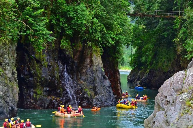 White Water Rafting Pacuare River With Lunch From Puerto Viejo - Overview of the Activity