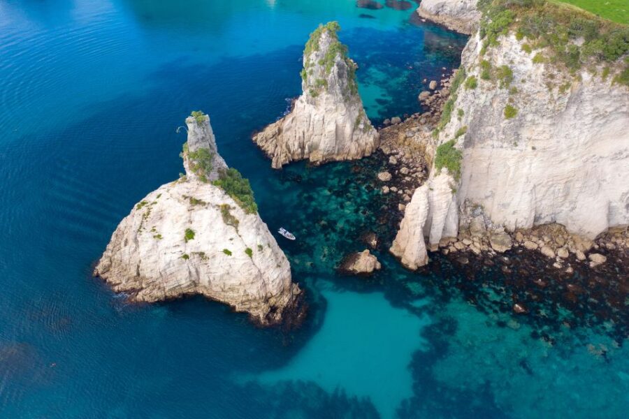 3 Best Tours In Whitianga