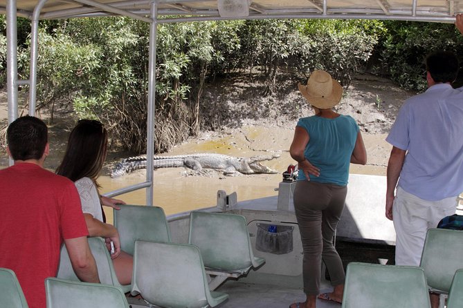 Whitsunday Crocodile Safari From Airlie Beach Including Lunch