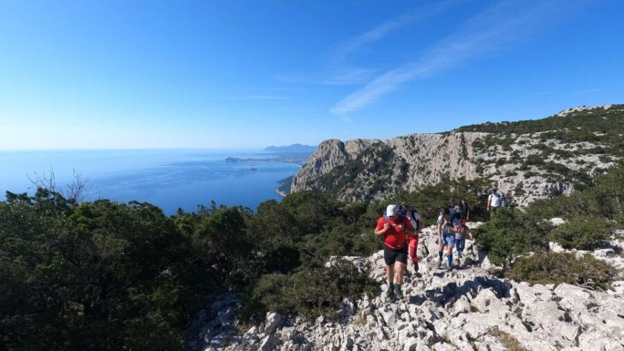 Wild Blue: 5-Days Trekking on the Original Trail