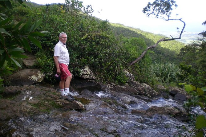 Wild South: Full-Day Tour Incl Rhumerie St Aubin, Bois Cheri Tea Factory & Lunch