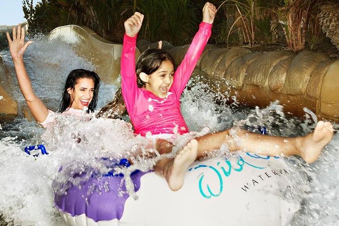 Wild Wadi Iconic Waterpark In Dubai Entry Tickets - Overview and Admission Details