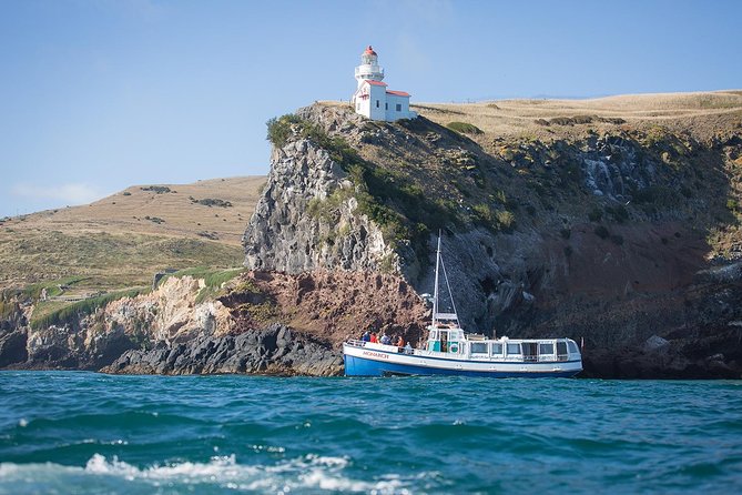 Wildlife Cruise With Transport - Overview and Details