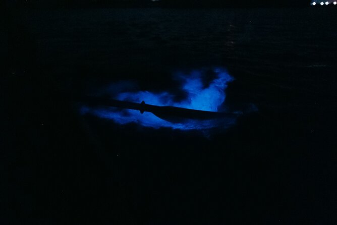 Wildlife Refuge Bioluminescent Kayak or Paddleboard Tour! - Included Amenities