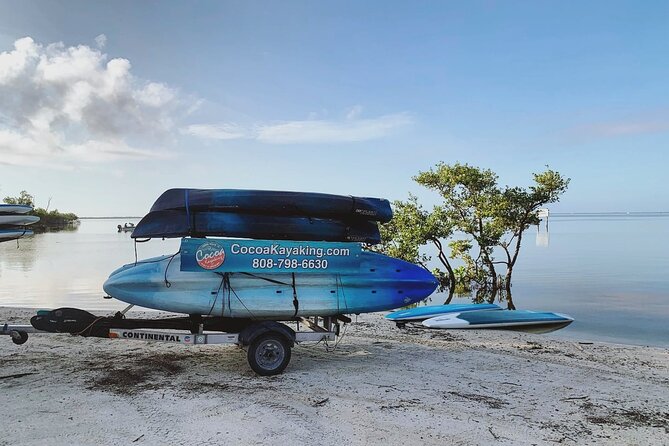 Wildlife Refuge Dolphin, Manatee & Mangrove Kayak or Paddleboarding Tour!