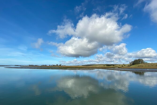 Wildlife Safari Boat Tour in Scenic Monterey Bay Wetland - Tour Overview and Details