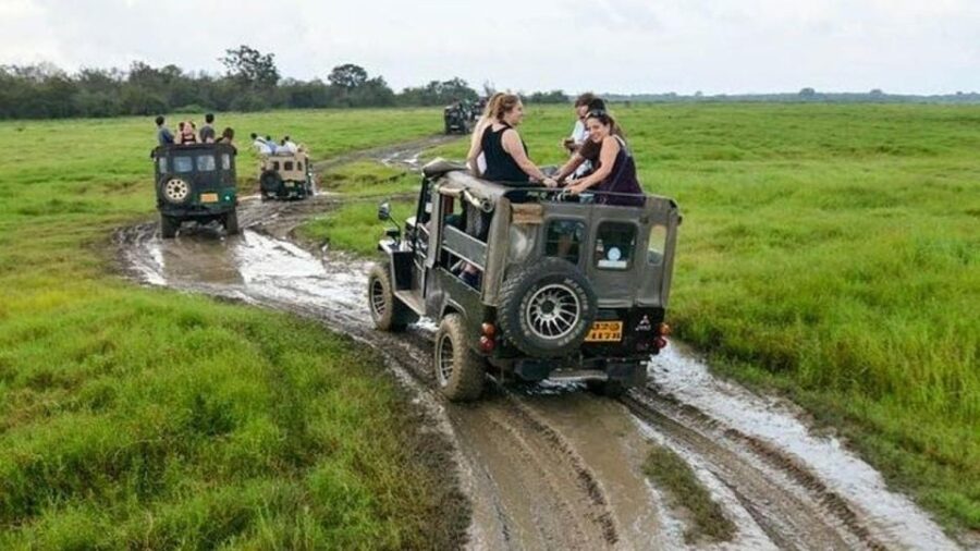 4 Best National Park Tours In North Central Province
