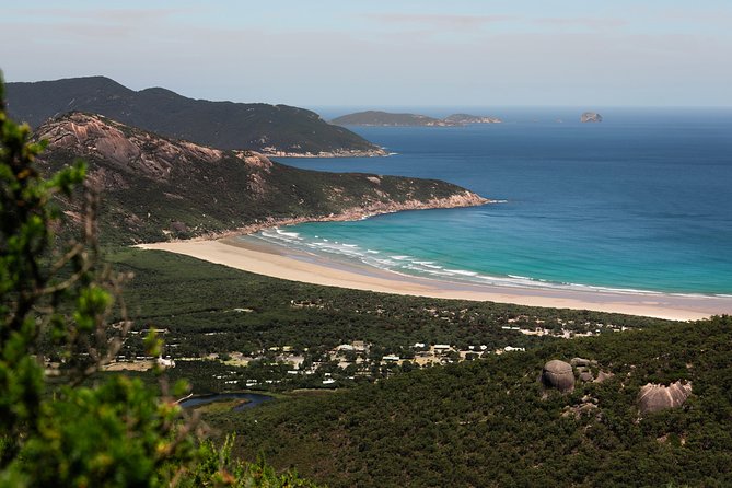 Wilsons Promontory Small Group Eco Tour From Melbourne