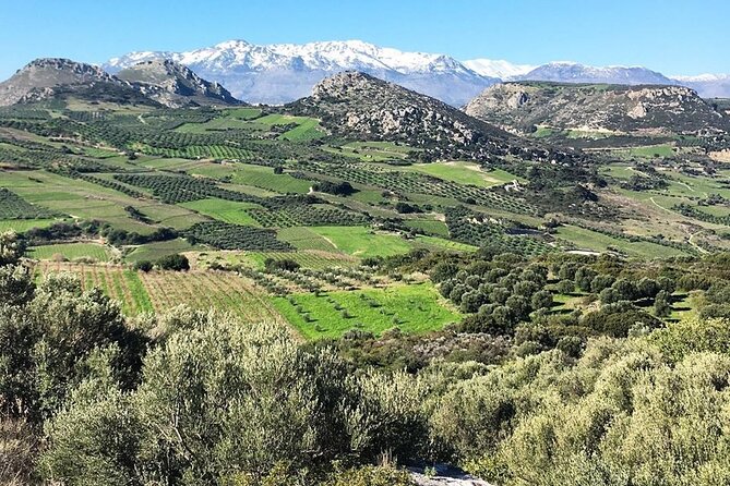 Wine & Dine at Stylianou Winery: An Exquisite Tasting Experience