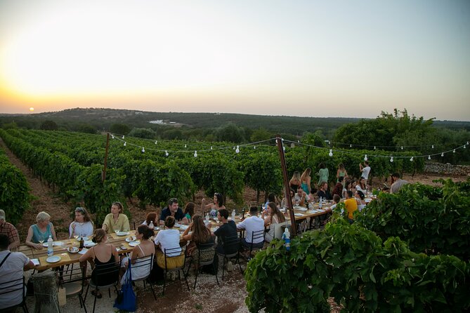 Wine Experience: Vineyard, Wines and Food