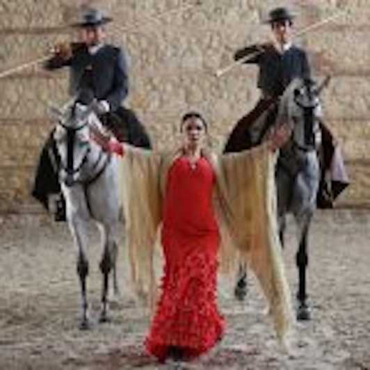 Wine & Sherry Day Tour From Seville