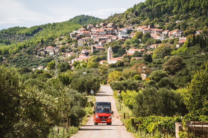 Wine & Sightseeing Tour Korcula - Tour Overview