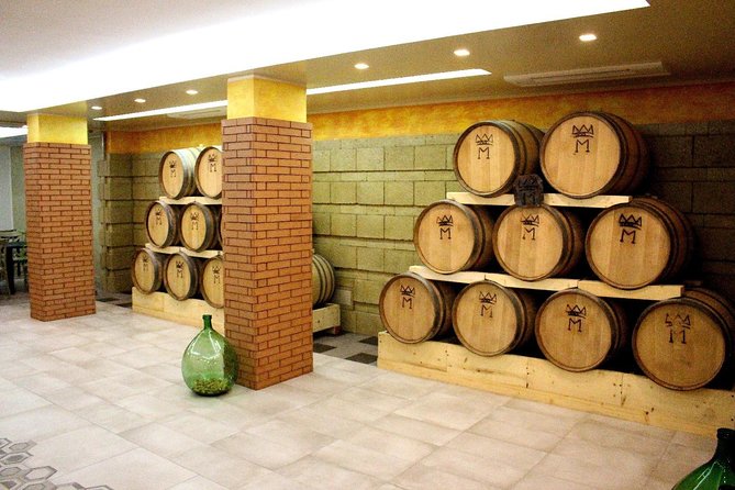 Wine Tasting and Excursion to the Mt. Vesuvius From Pompeii