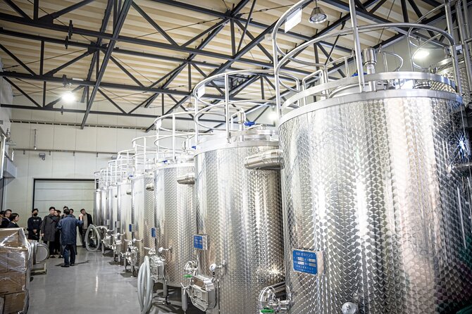 Wine Tasting Experience in Yamaga - Explore Kikuka Winerys Shop