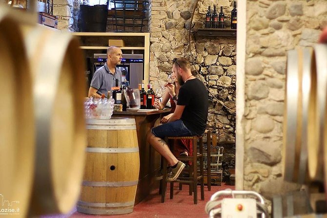 Wine Tasting in Historical Center of Lazise - Wine Sampling and Pairing