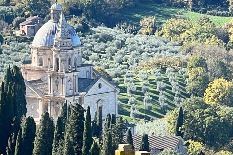 Wine Tasting in Montepulciano and Vineyards Private Tour - Tour Overview