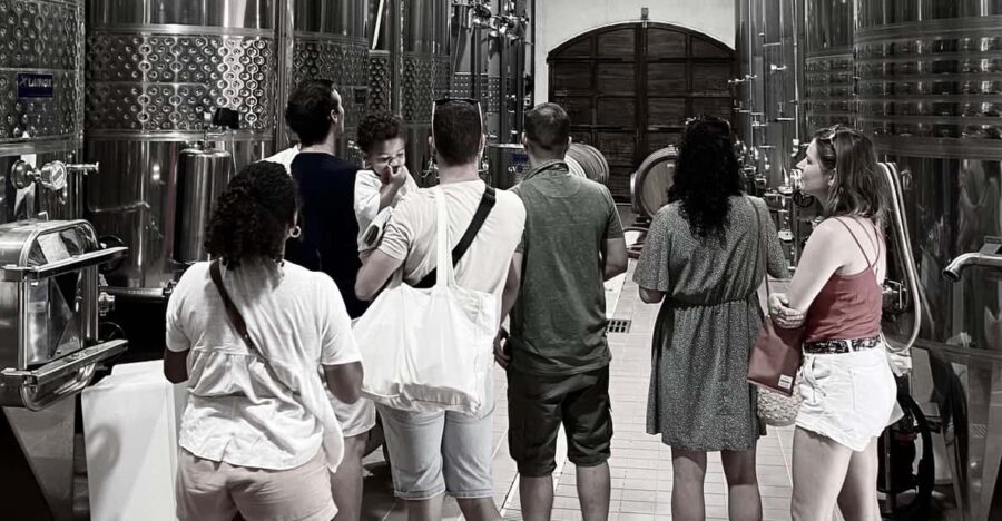 Wine Tasting in Patrimonio