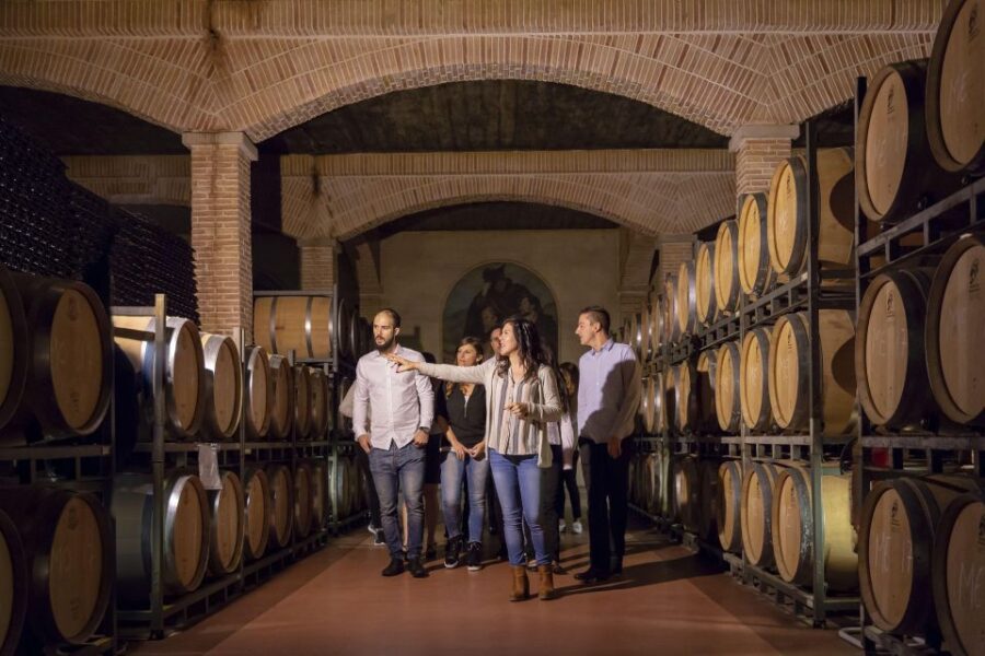 Wine Tasting in the Best Winery in Spain From Alicante
