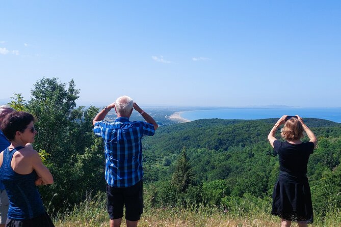 Wine Tasting & Vineyards Tour From Durres