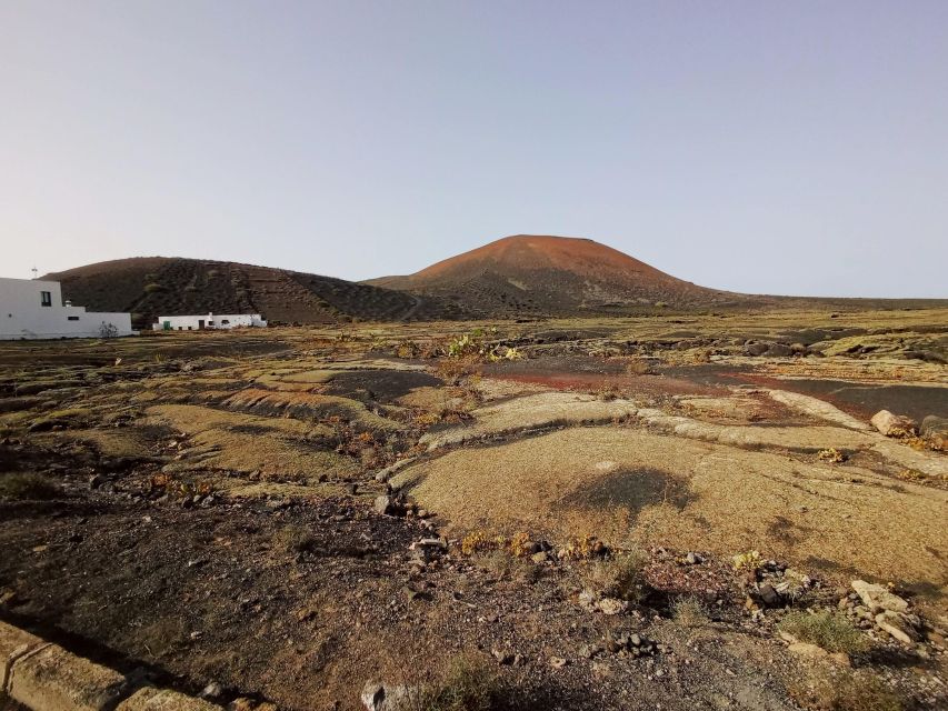 Wine Tour Discovering the Origins of Vineyards in Lanzarote - Tour Overview and Pricing