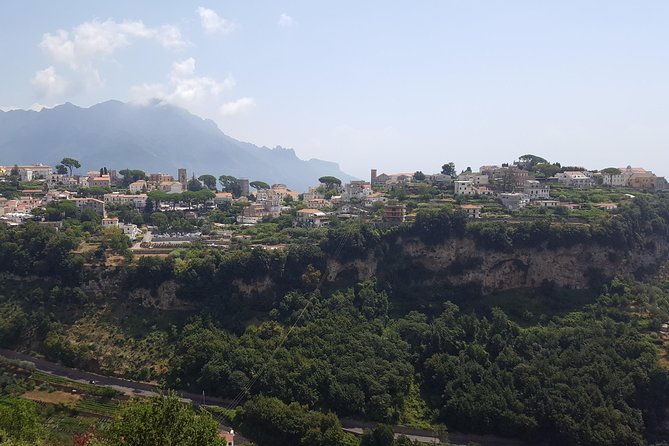 Wine Tour Experience for Family or Friends Group