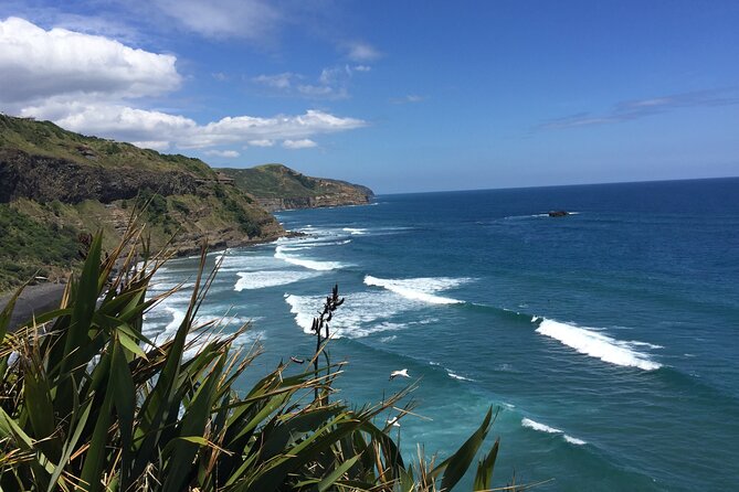 Wineries Honey and Black Sand Beaches From Auckland