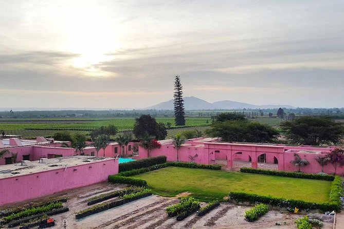 Winery and Pisco Distillery Tour
